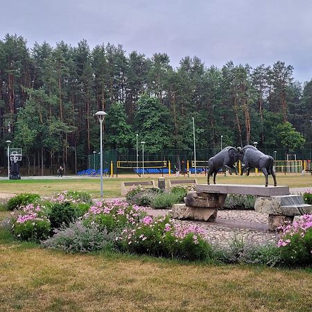 Chalet Villa Rex Druskininkai Exteriör bild