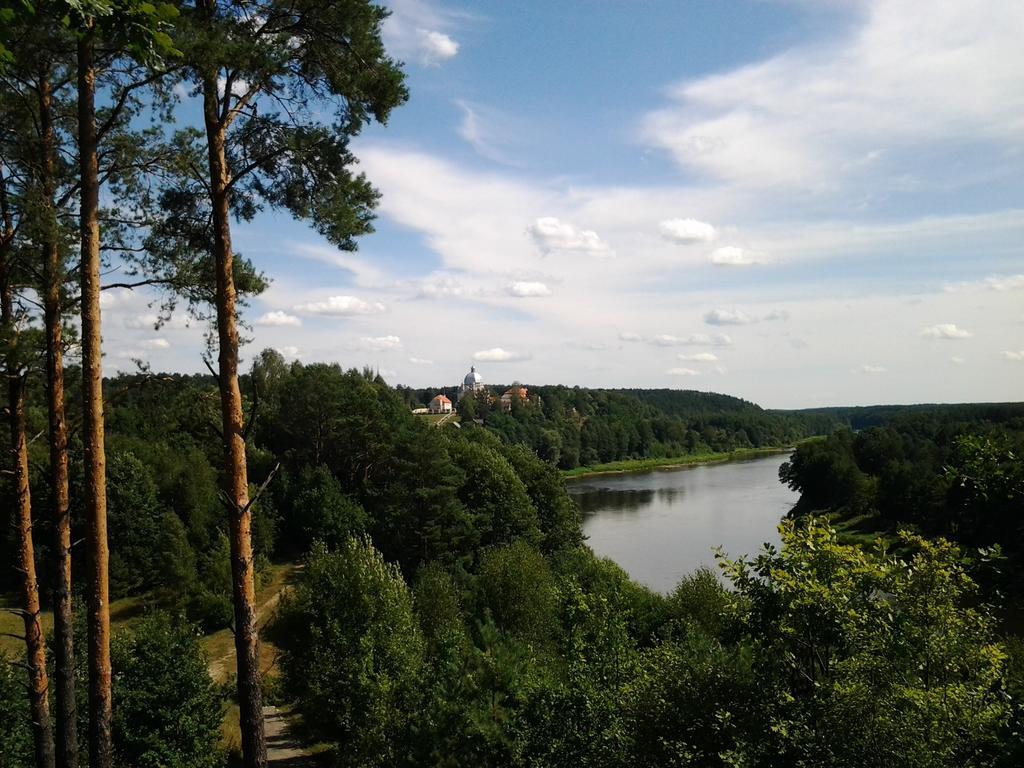 Chalet Villa Rex Druskininkai Exteriör bild