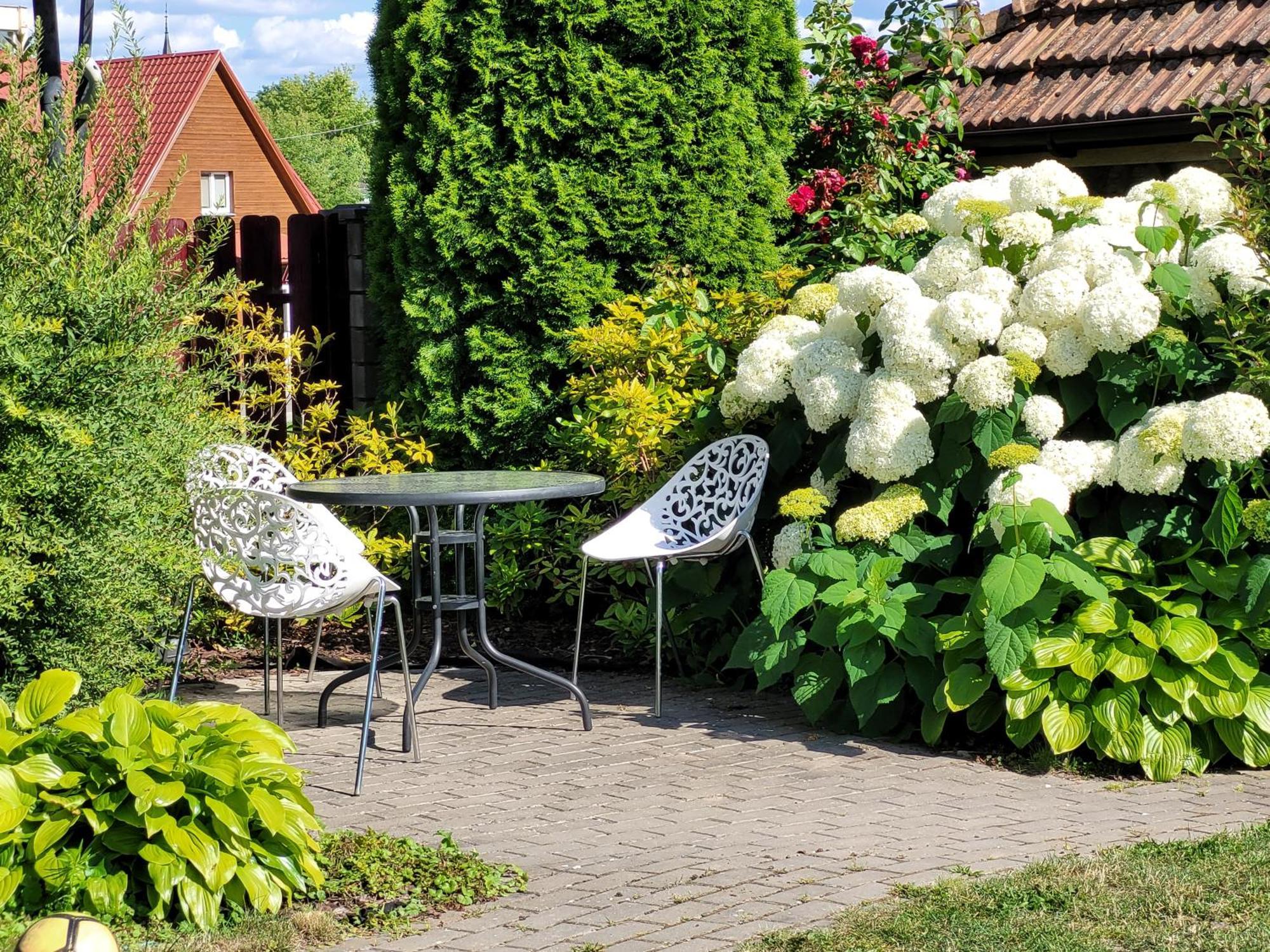 Chalet Villa Rex Druskininkai Exteriör bild