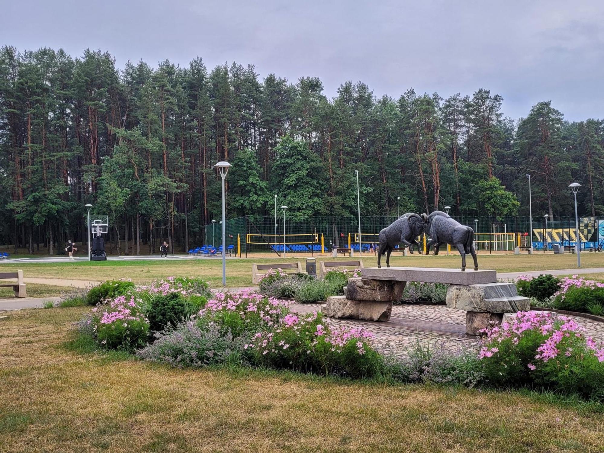 Chalet Villa Rex Druskininkai Exteriör bild