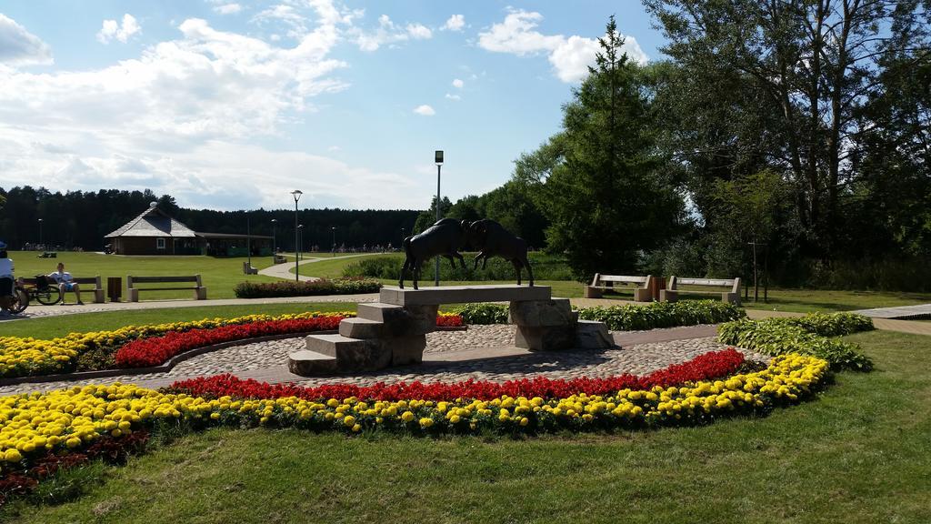 Chalet Villa Rex Druskininkai Exteriör bild