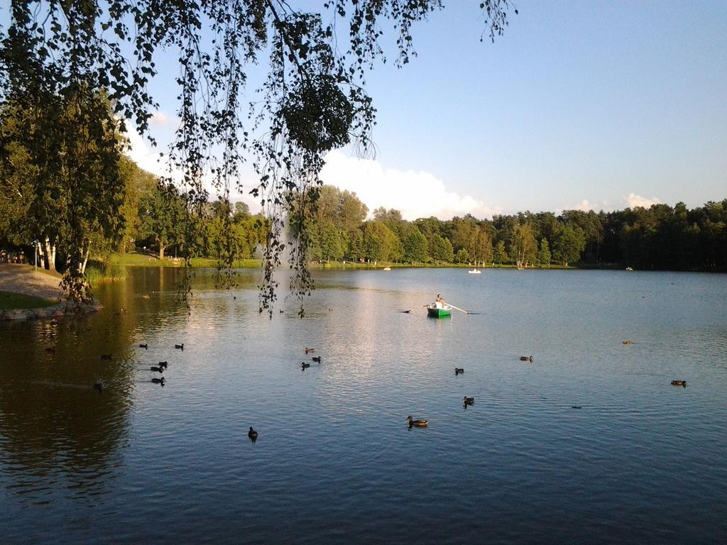 Chalet Villa Rex Druskininkai Exteriör bild